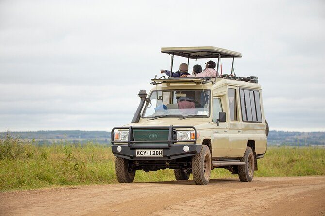 Half-Day Private Guided Safari Tour to Nairobi National Park - The Value of This Safari