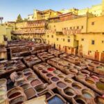 Half-Day Private Guided Walking Tour Exploring Fez Medina - Practical Aspects and What to Expect