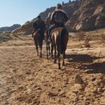 Half-Day Private Indiana Jones Petra Back Road Trial Tour - Authentic Experiences and Insights from Travelers