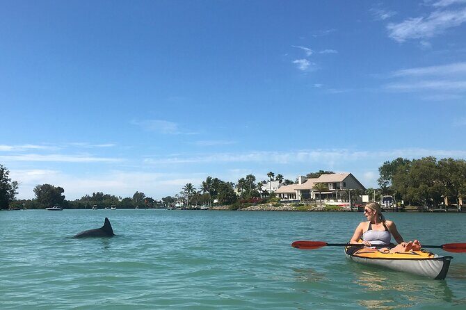 Half-Day Private Sarasota Charter Tour with Wildlife Watching - What Makes This Tour Stand Out?