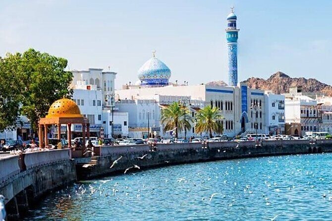 Half-Day Private Tour in Muscat City Oman - Who Will Love This Tour?