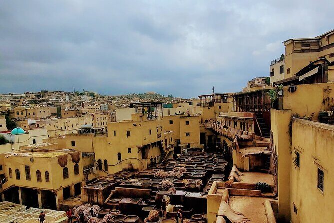 Half-Day Private Walking Tour of the Authentic City of Fez - Practical Considerations and Value