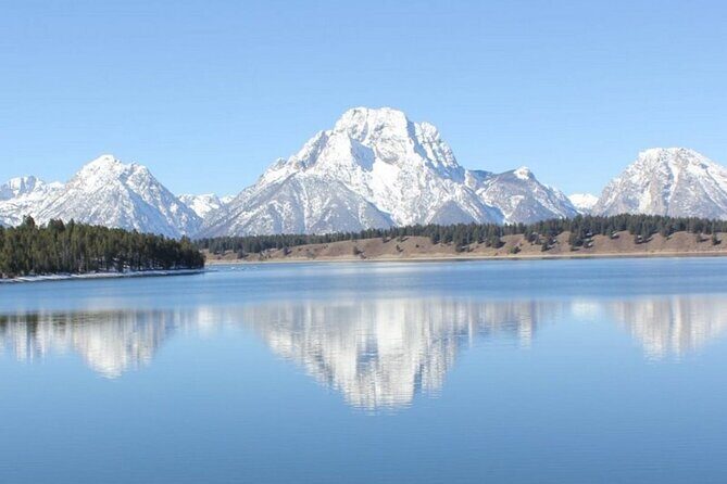 Half Day Private Winter Wildlife Tours in Jackson Hole - An In-Depth Look at the Jackson Hole Winter Wildlife Tour