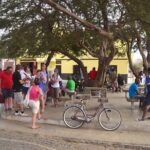 Half-Day Sal Island Tour with Shark Experience from Santa Maria - The Itinerary: What to Expect on This Sal Island Journey