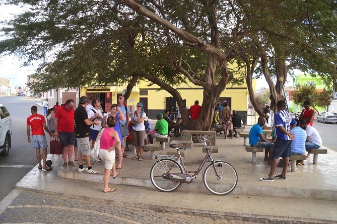 Half-Day Sal Island Tour with Shark Experience from Santa Maria - The Itinerary: What to Expect on This Sal Island Journey