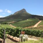 Half-Day Stellenbosch Winelands Tour from Cape Town - Who Should Consider This Tour?