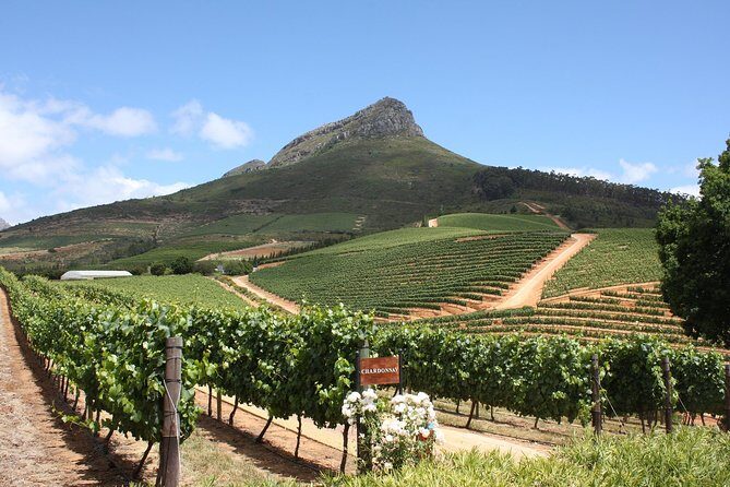 Half-Day Stellenbosch Winelands Tour from Cape Town - Who Should Consider This Tour?