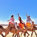 Half-Day Tangier Private Tour & Camel Ride & Colorful Markets - What Sets This Tour Apart?