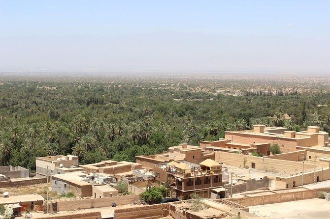 Half day tour : Agadir Goats in argan trees & Souk El Had Market - Authentic Experiences and Small Group Dynamics
