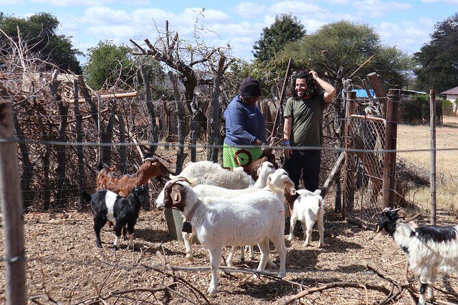 Half Day Tour from Gaborone (Manyana Village Visit) - Authenticity, Guides, and Reviews