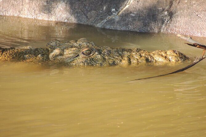 Half Day Tour in iSimangaliso Wetland Park - Who Will Love This Tour?