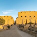 Half Day Tour : Luxor Temple and Karnak Temples ( private) - Who Will Love This Tour?