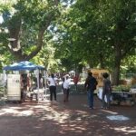 Half-Day Tour of Cape Town City - Frequently Asked Questions