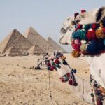 Half Day Tour Pyramids in Cairo - Why This Tour Offers Great Value
