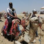 Half-Day tour Pyramids of Giza ,Sphinx ,Lunch & Camel Ride - Authenticity and Practicality: What You’ll Really Get