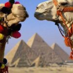 Half Day Tour to Giza Pyramids & Sphinx - The Itinerary in Detail