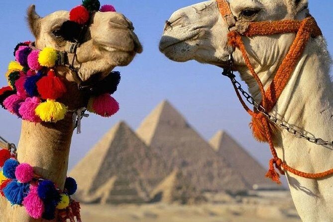 Half Day Tour to Giza Pyramids & Sphinx - The Itinerary in Detail