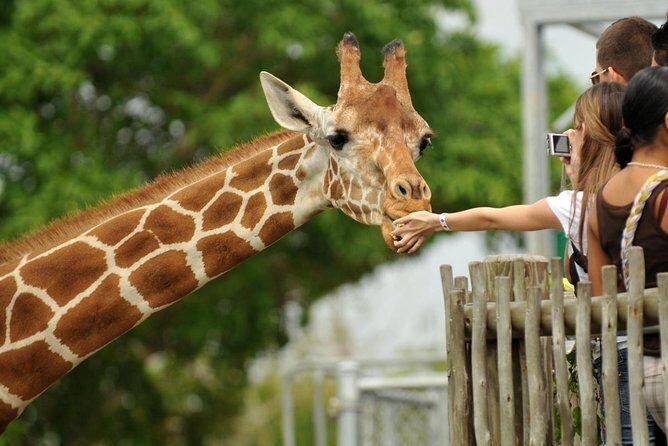 half Day TOURS/NAIROBI NATIONAL PARK/ELEPHANT & GIRAFFE CENTRE - Why This Tour Is Ideal for You