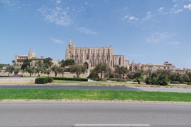 Half Day Trike Tour from Paguera - Why Choose This Trike Tour? An Authentic Mallorca Adventure