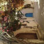 Half Day Trip to Djerba Island - Practical Aspects & Tips