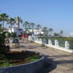 Half-day visit to the city of Casablanca - Transportation and comfort