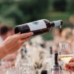 Half Day Wine Tour from Cape Town - Who Will Love This Tour?