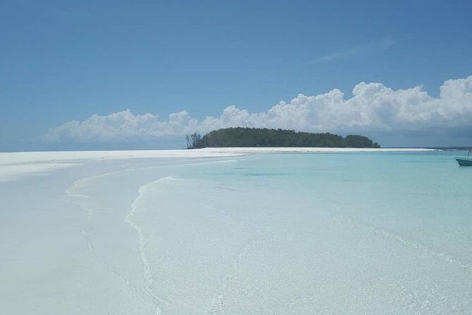 Half Day Zanzibar Mnemba Atoll Marine Reserve Snorkeling Tour - Who Should Consider This Tour?