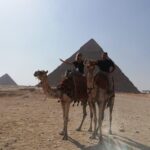 Half dayTour Pyramids of Giza Sphinx including Camel ride - Who Should Book This Tour?