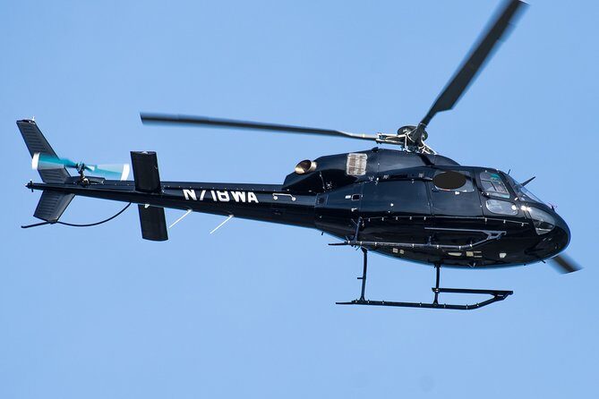 Hamptons Insider Tour with Private Helicopter from Manhattan - Final Thoughts: Who Will Love This Tour?
