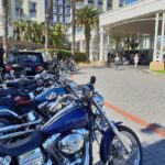 Harley Davidson Coastal Scenic Rides (Chauffeured) - Who Will Love This Experience?