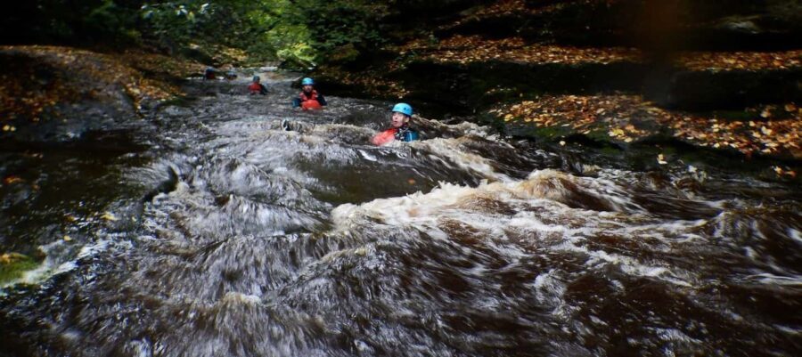 Harrogate: How Stean 3 in 1 Experience - Key Points