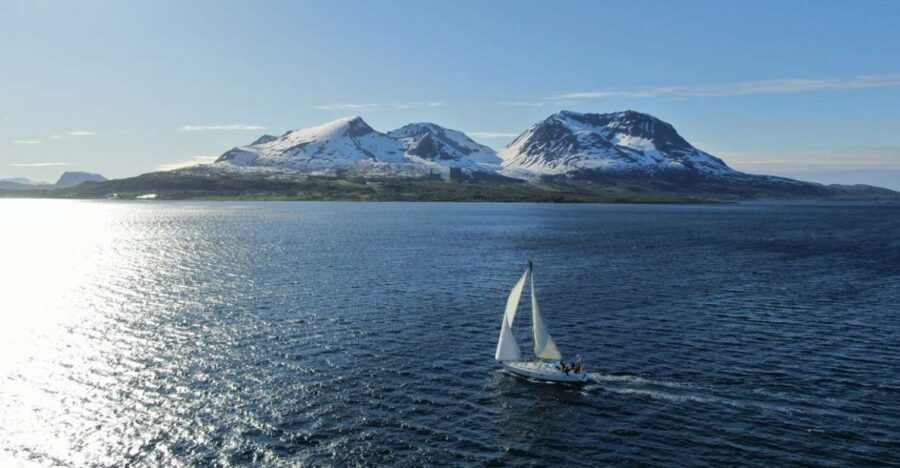 Harstad: Fjordcruise sailing with skipper - Why This Tour Offers Great Value