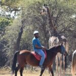 Harties Horse Trail Safari Half day - Highlights of the Tour