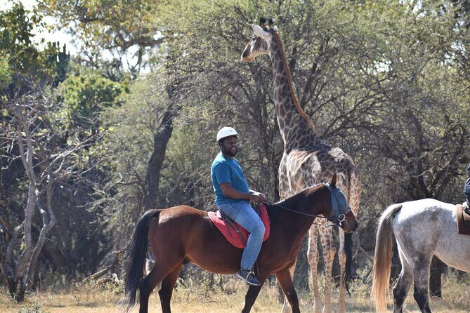 Harties Horse Trail Safari Half day - Highlights of the Tour