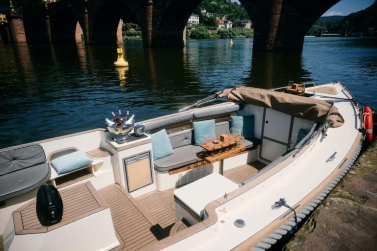 Heidelberg: Boat ride Heidelberg private boat with captain 3.5 hours for up to 12 guests - What Reviewers Love Most