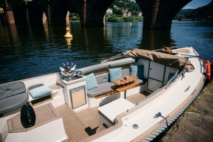 Heidelberg: Boat ride Heidelberg private boat with captain 3.5 hours for up to 12 guests - What Reviewers Love Most