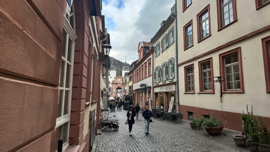 Heidelberg: Experience our history 1.5-hour walking tour through the old town - An Introduction to Heidelberg’s Charm