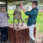 Helicopter, Boat Cruise, Big 5 Safari and Winelands Scenic Experience in 4 Days. - Why This Tour Offers Great Value