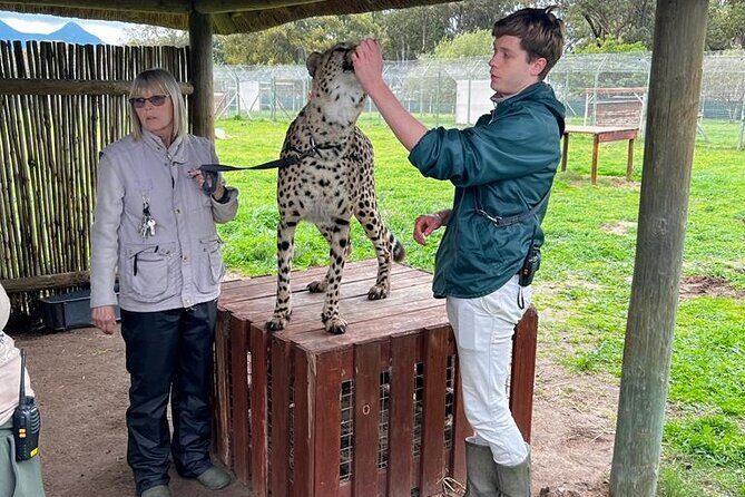 Helicopter, Boat Cruise, Big 5 Safari and Winelands Scenic Experience in 4 Days. - Why This Tour Offers Great Value