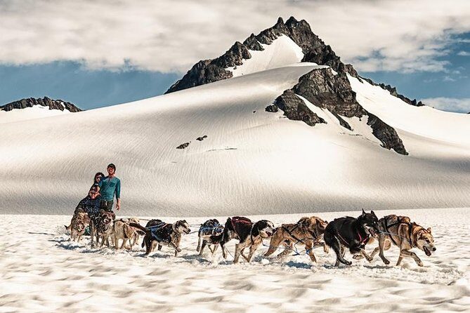 Helicopter Glacier & Dog Sledding Adventure Tour - What Makes This Tour Stand Out?