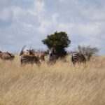 Hells Gate with Hiking Biking Climbing and Camping in Kenya - Final Thoughts