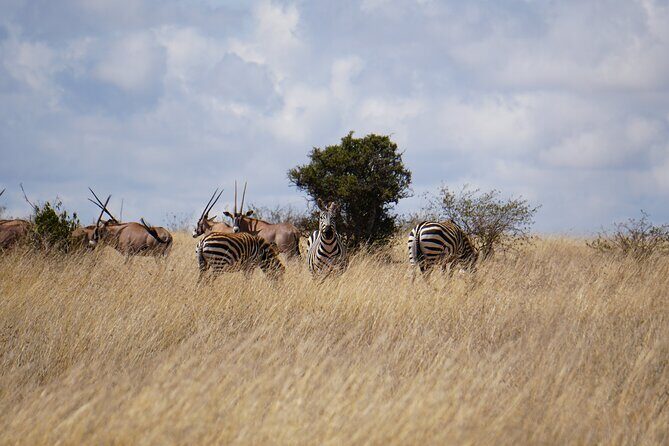 Hells Gate with Hiking Biking Climbing and Camping in Kenya - Final Thoughts