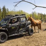 Helsinki: Reindeer Park and Horse Stable Private Tour - Who Should Consider This Tour?