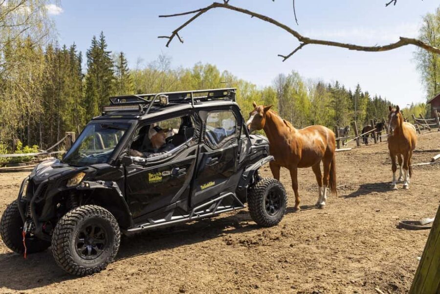 Helsinki: Reindeer Park and Horse Stable Private Tour - Who Should Consider This Tour?