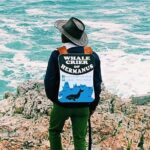 Hemel en Aarde Whale Coast + Wine Day Tour with Private Transfer - Who Is This Tour Best Suited For?