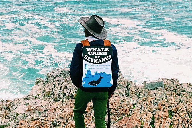 Hemel en Aarde Whale Coast + Wine Day Tour with Private Transfer - Who Is This Tour Best Suited For?