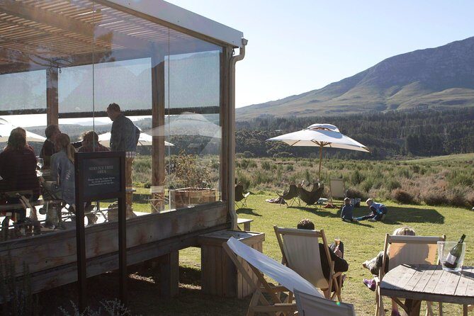 Hemel-en-Aarde Wine Tour - Unpacking the Hemel-en-Aarde Wine Tour