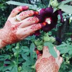 Henna Art Discovery - Overview of the Tour