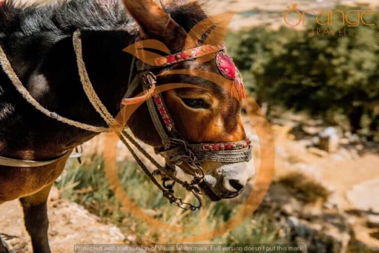 Heraklion areas :Half-Day Lasithi Plateau-Mythology Park - Practical Details and Tips