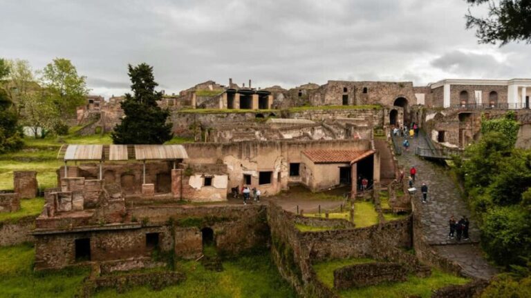 HERCULANEUM: ENTRANCE TICKET - SKIP THE LINE AND SUPPORT SERVICE - Who Will Love This Experience?